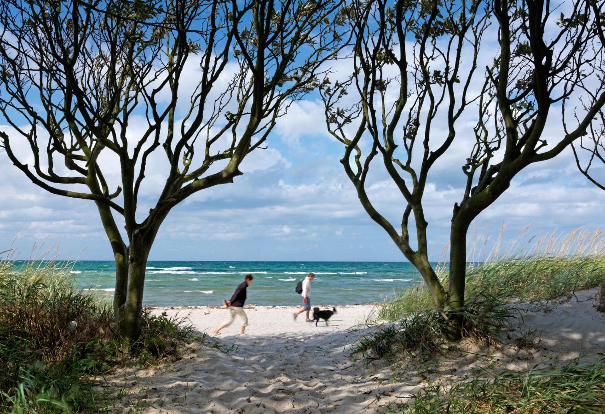 Ferienwohnungen Am Lotsenstieg Abendrot Insel Poel Exterior photo