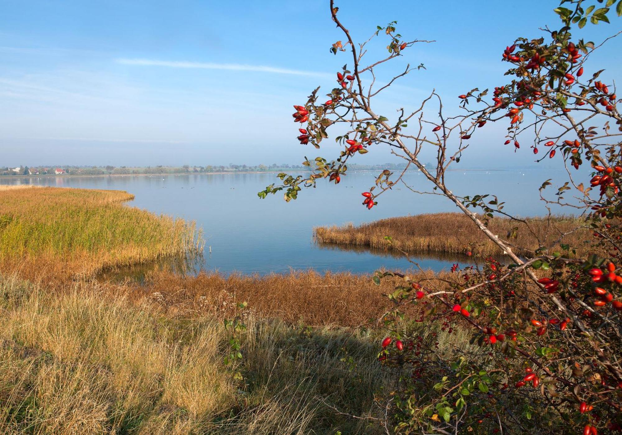 Ferienwohnungen Am Lotsenstieg Abendrot Insel Poel Exterior photo